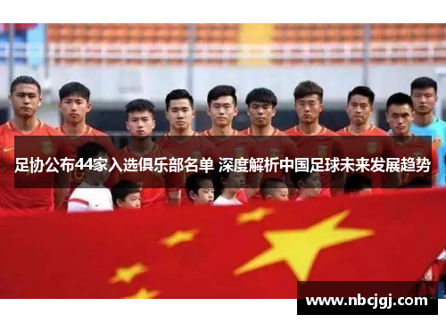 足协公布44家入选俱乐部名单 深度解析中国足球未来发展趋势